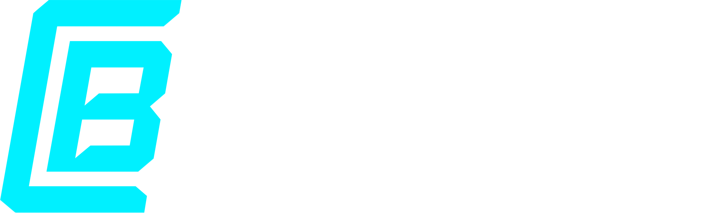Cobertura Business